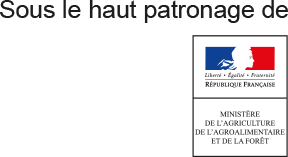 ibma-colloque-patronage