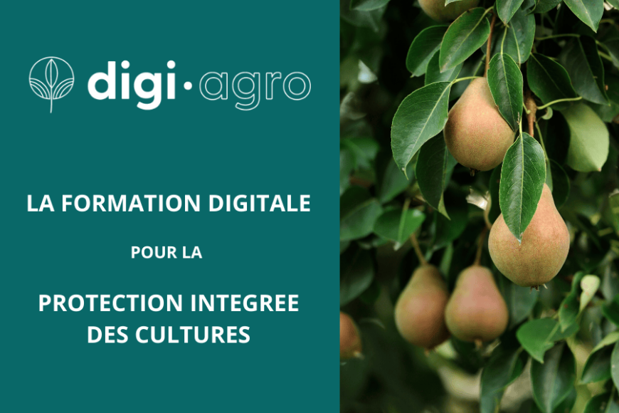Digi Agro : formez-vous gratuitement à la Protection Intégrée des Cultures !