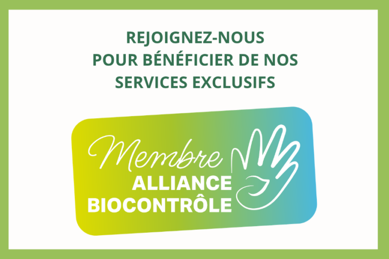 Nos services exclusifs